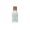Aveda Rosemary Mint Purifying Champ�