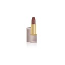 Lip Color Lipstick 05-ambtous mauve matte