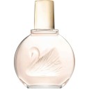 Miss Vanderbilt Edt