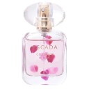 Celebrate N.O.W. Edp