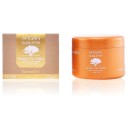 Farmavita Argan sublime mask