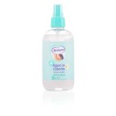 Nenuco gua de Colnia Spray