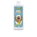 Cuidados Champ Gengibre Natural Forte