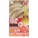 AZALEA COLOR TOTAL 10.1 - LOIRO CINZA PLATINADO