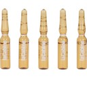 Ampollas Revive elixir 10 x