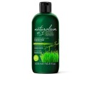 Super Food Wheatgrass Energizing Gel De Banho